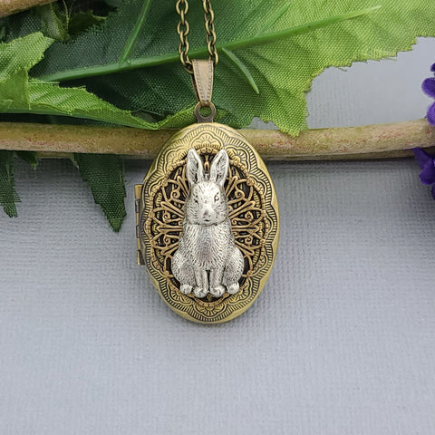 Ox Brass Oval Locket  Rabbit Necklace  Photo Locket.